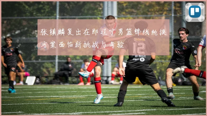 张镇麟复出在即辽宁男篮锋线轮换方案面临新挑战与考验